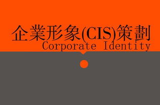 廣告、營(yíng)銷、品牌與企業(yè)策劃 戰(zhàn)略協(xié)同下的廣告設(shè)計(jì)核心